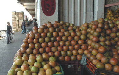 墨西哥最大的水果销售市场
